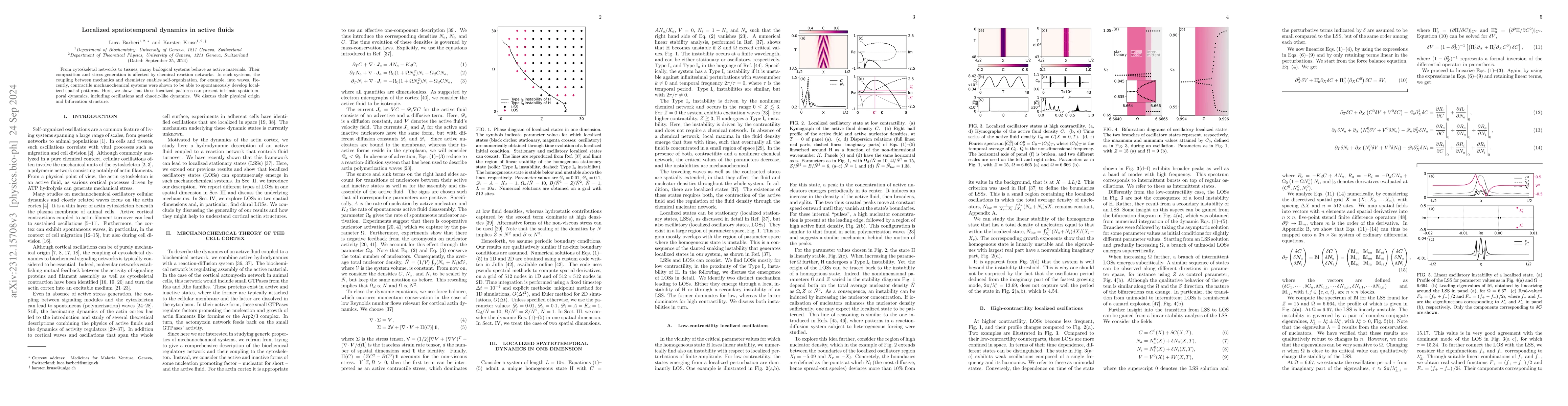 Thumbnail for Localized spatiotemporal dynamics in active fluids