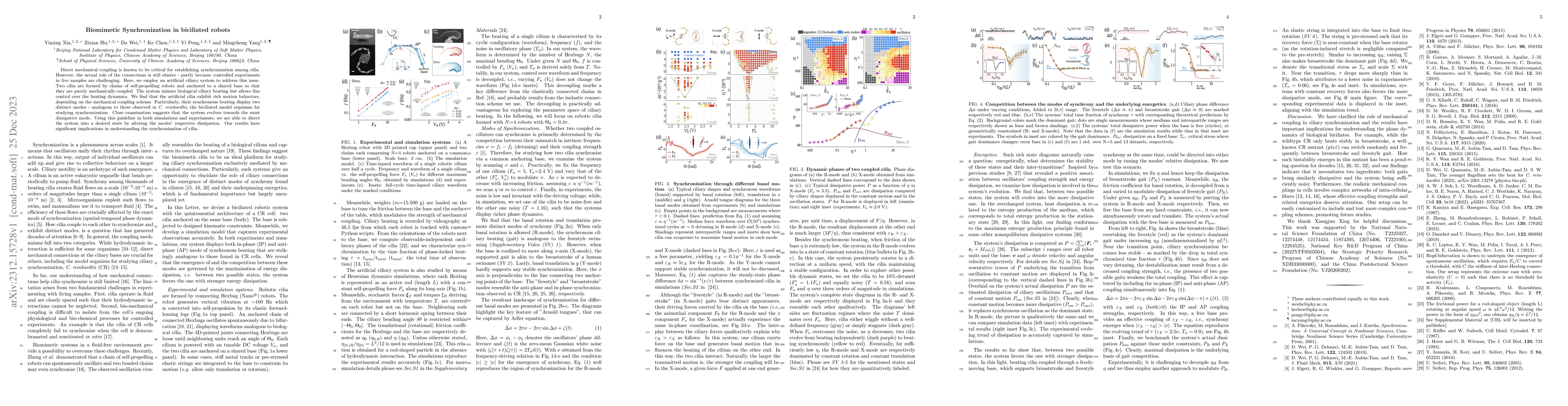 Thumbnail for Biomimetic Synchronization in biciliated robots