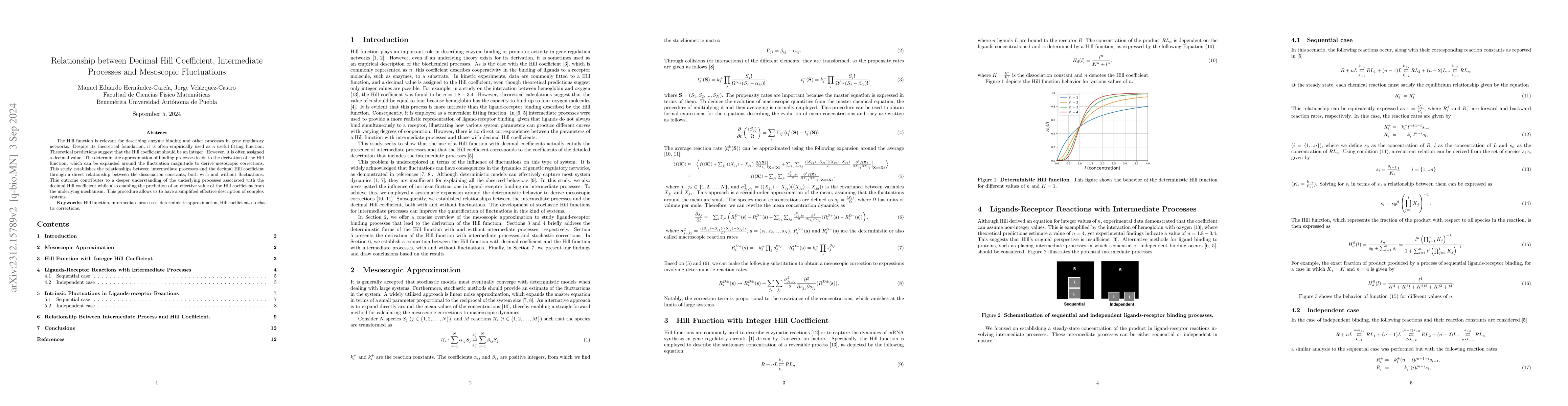 Thumbnail for Exploring the Relationship between Fractional Hill Coefficient,
  Intermediate Processes and Mesoscopic Fluctuations