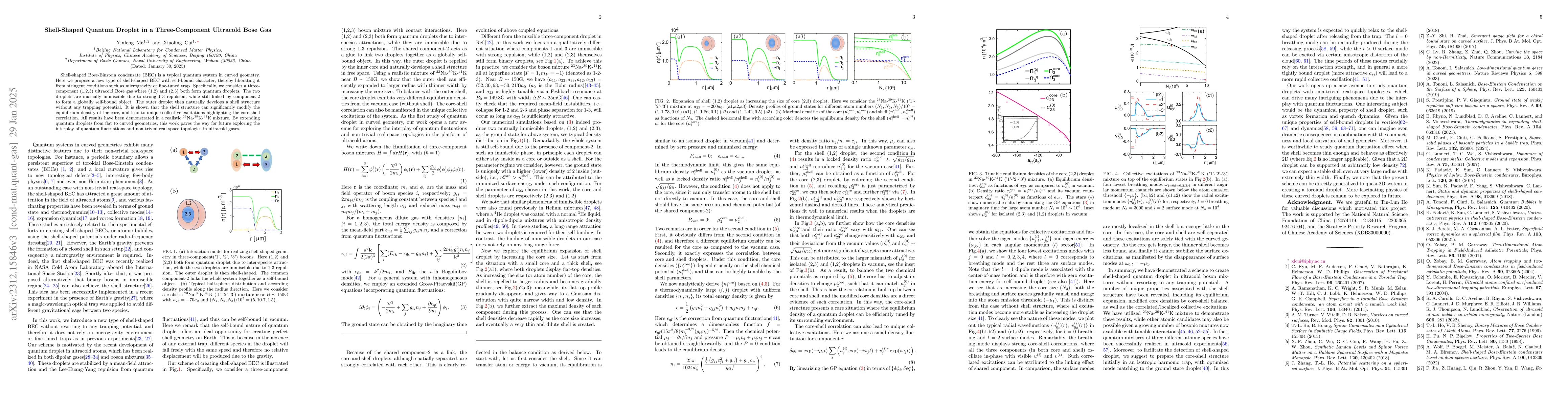 Thumbnail for Shell-shaped quantum droplet in a three-component ultracold Bose gas