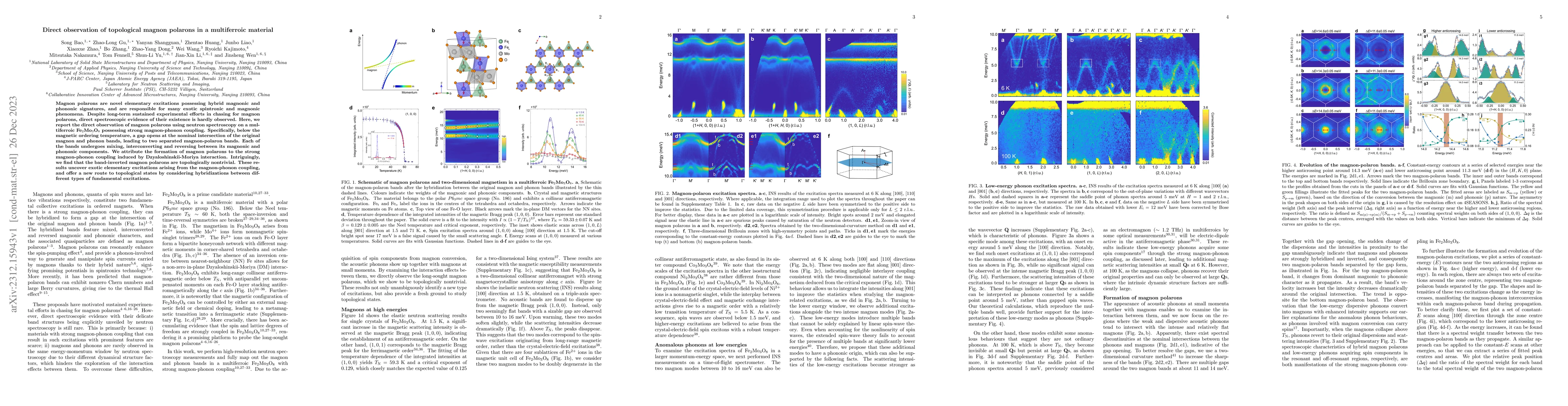 Thumbnail for Direct observation of topological magnon polarons in a multiferroic
  material