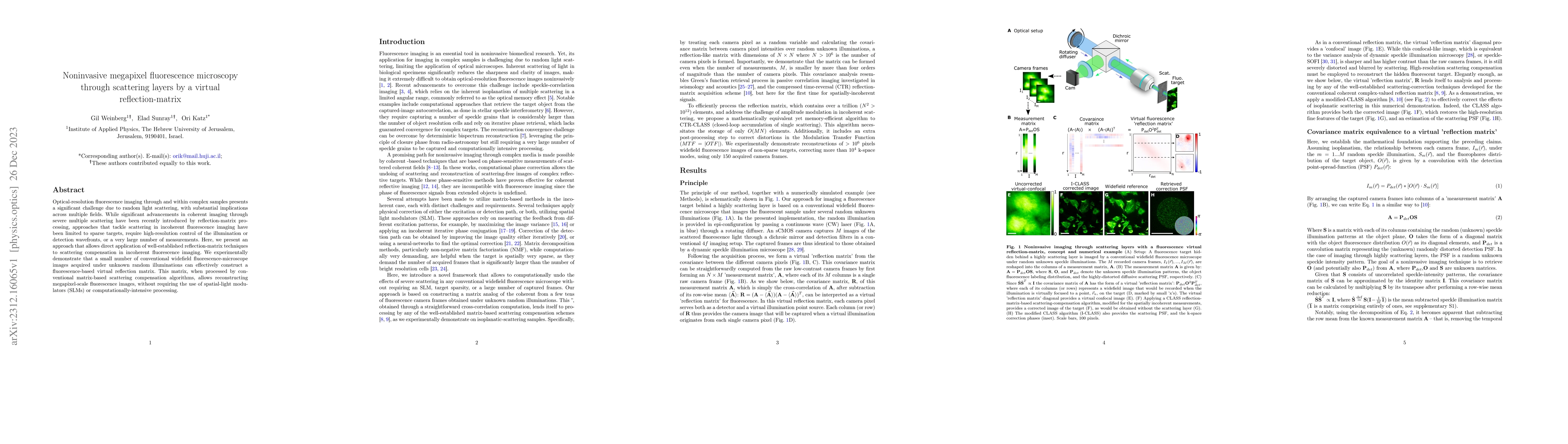 Thumbnail for Noninvasive megapixel fluorescence microscopy through scattering layers
  by a virtual reflection-matrix