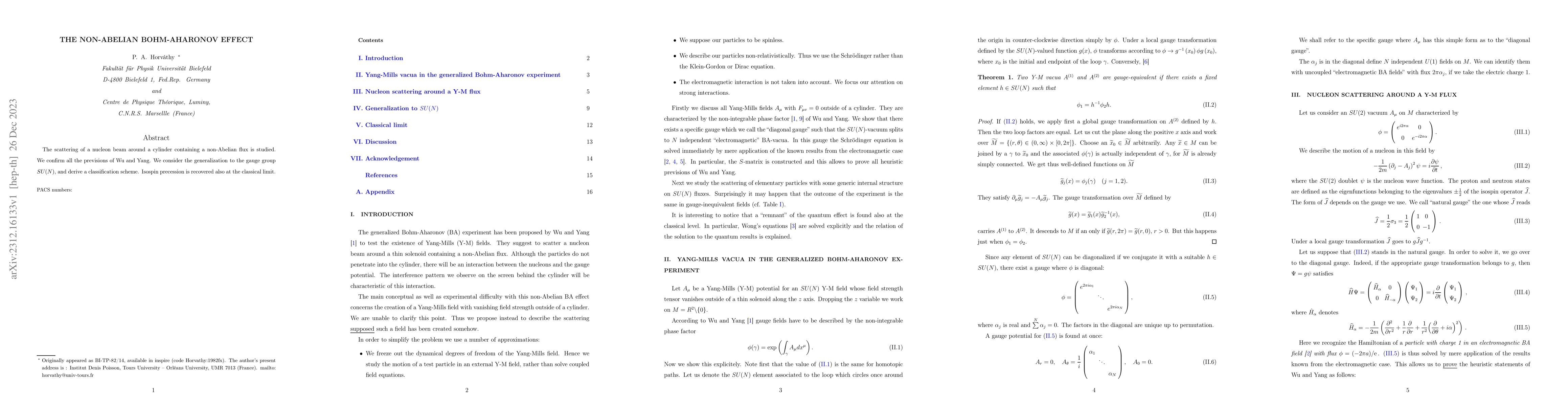 Thumbnail for The non-Abelian Aharonov-Bohm effect