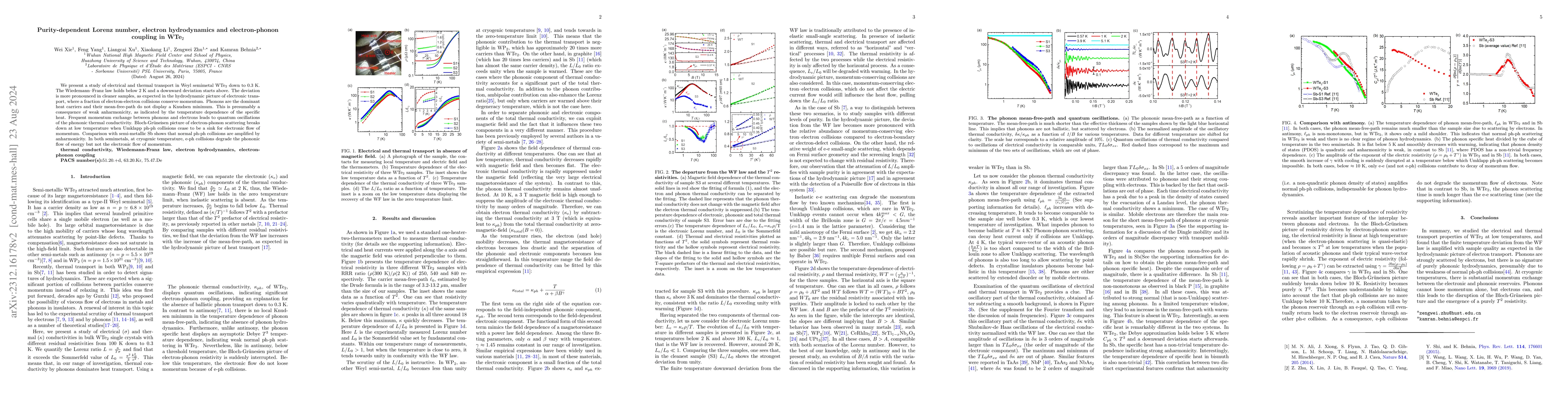 Thumbnail for Purity-dependent Lorenz number, electron hydrodynamics and
  electron-phonon coupling in WTe$_2$
