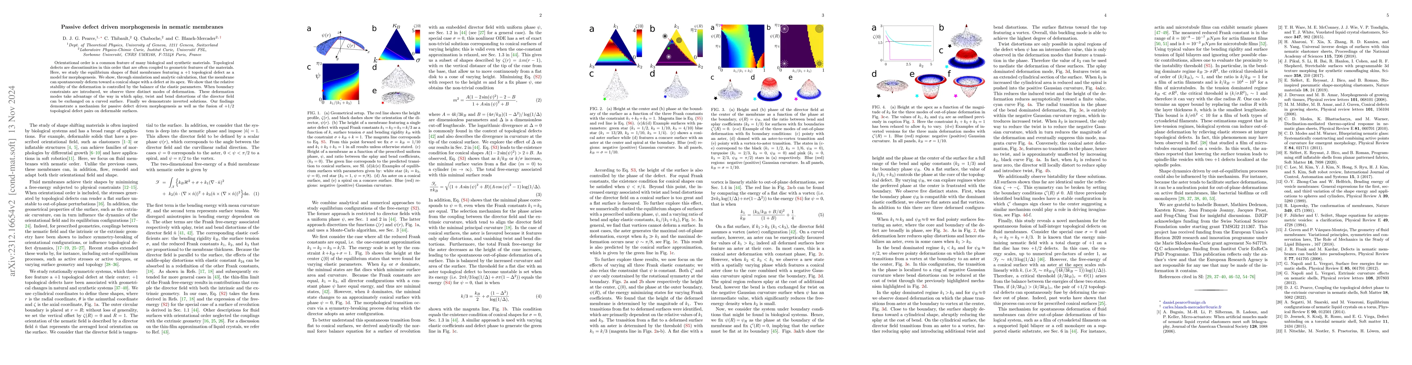 Thumbnail for Passive defect driven morphogenesis in nematic membranes