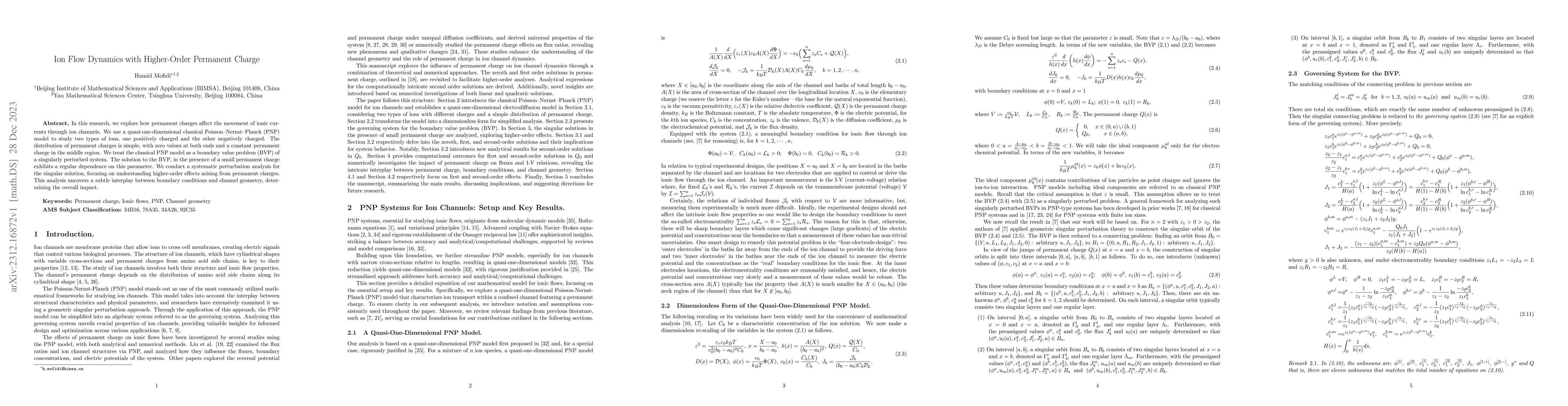 Thumbnail for Ion Flow Dynamics with Higher-Order Permanent Charge