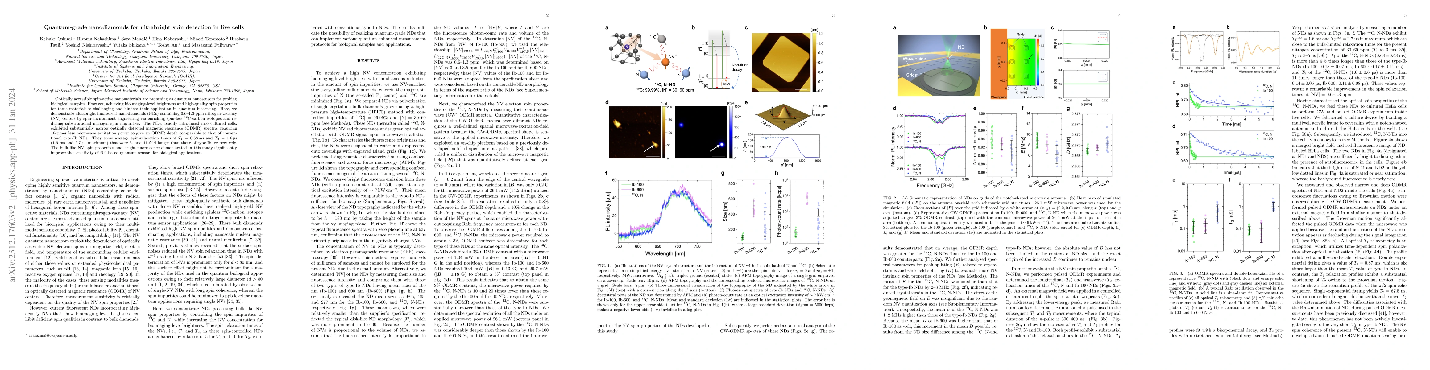 Thumbnail for Quantum-grade nanodiamonds for ultrabright spin detection in live cells