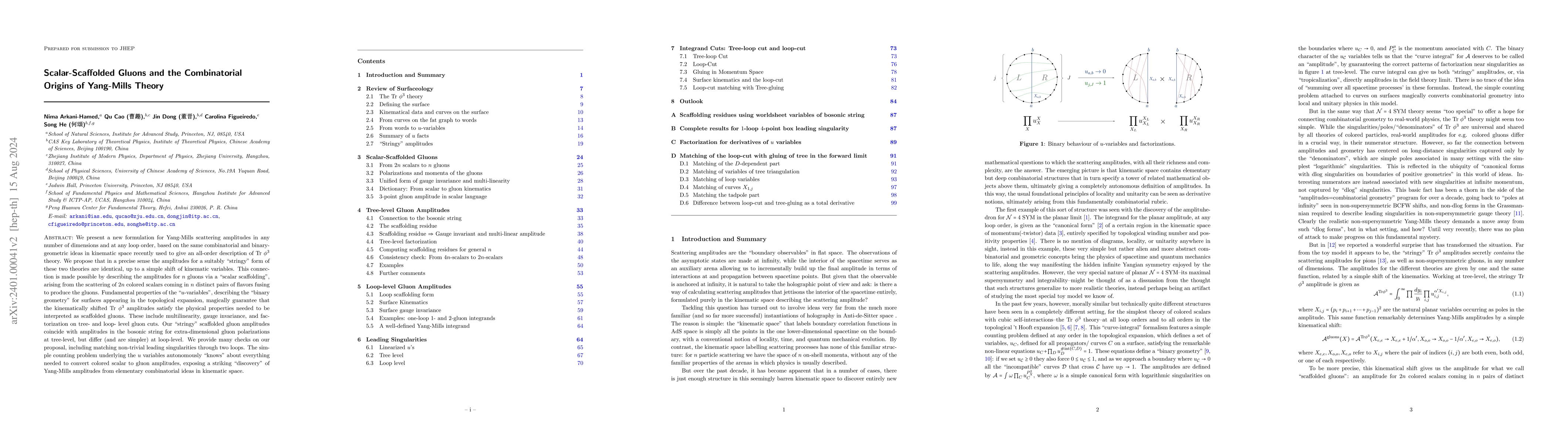 Thumbnail for Scalar-Scaffolded Gluons and the Combinatorial Origins of Yang-Mills
  Theory