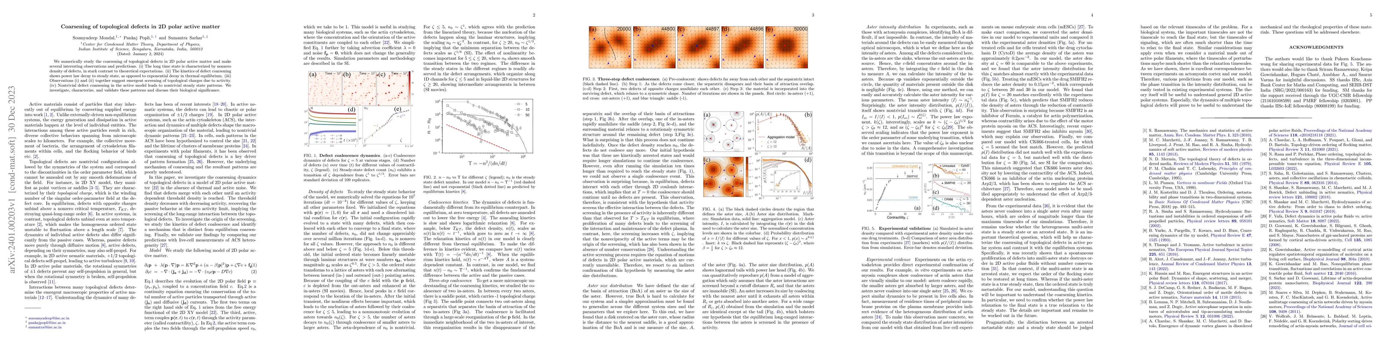 Thumbnail for Coarsening of topological defects in 2D polar active matter