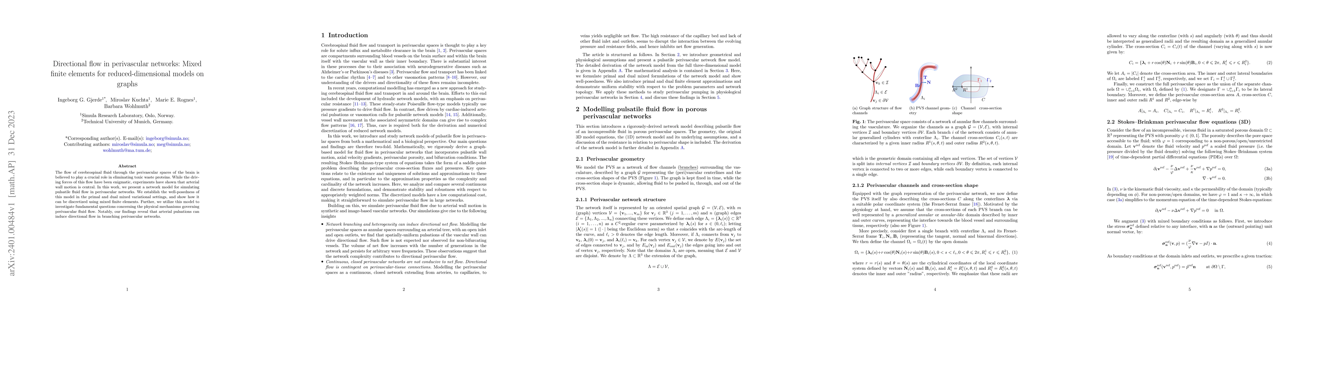 Thumbnail for Directional flow in perivascular networks: Mixed finite elements for
  reduced-dimensional models on graphs