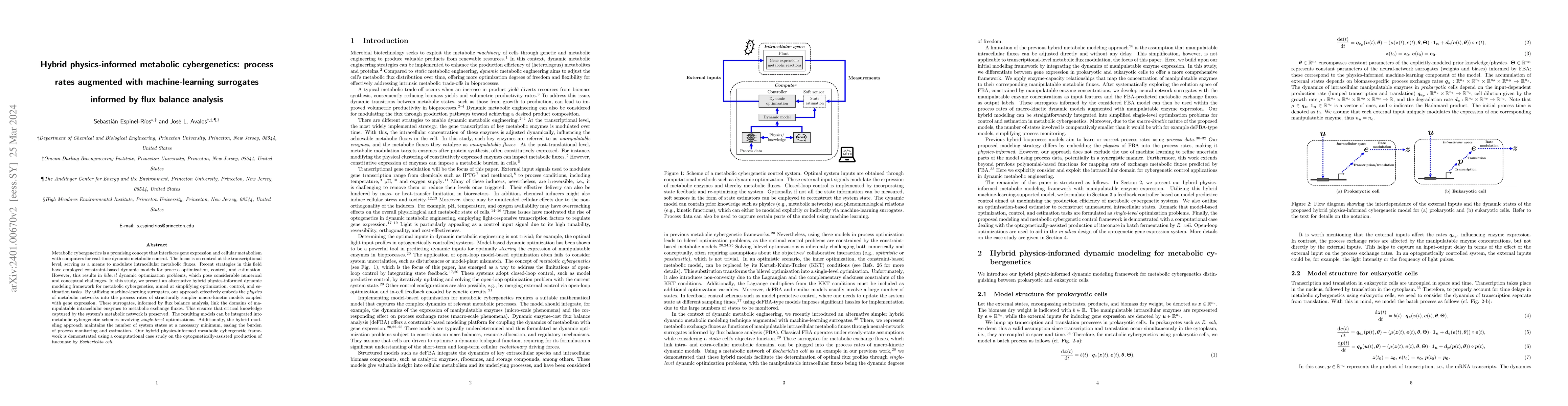 Thumbnail for Hybrid physics-informed metabolic cybergenetics: process rates augmented
  with machine-learning surrogates informed by flux balance analysis