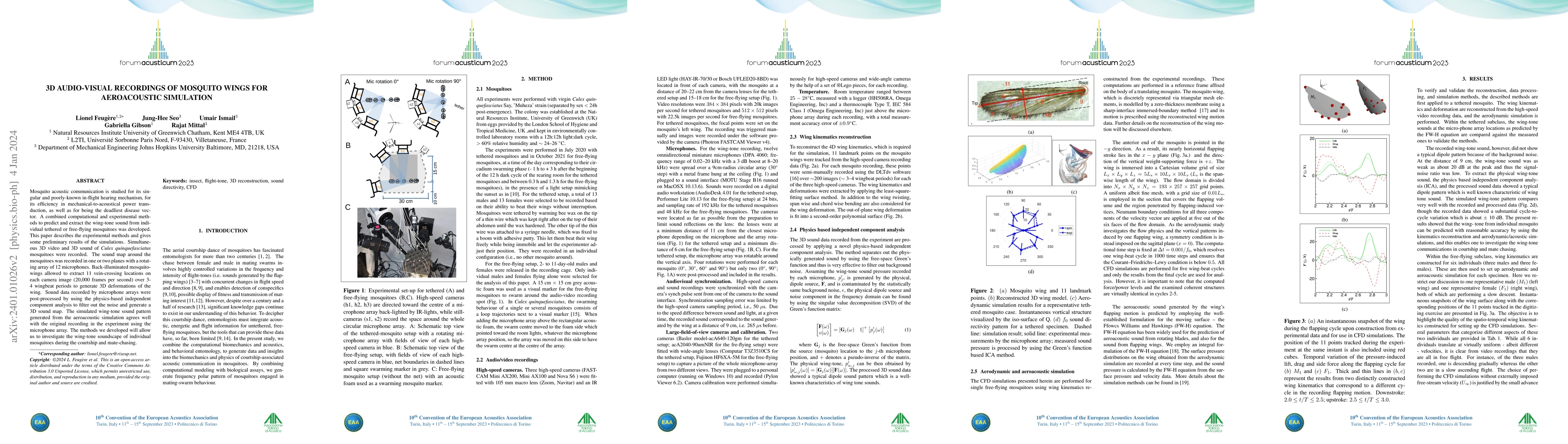 Thumbnail for 3D audio-visual recordings of mosquito wings for aeroacoustic simulation