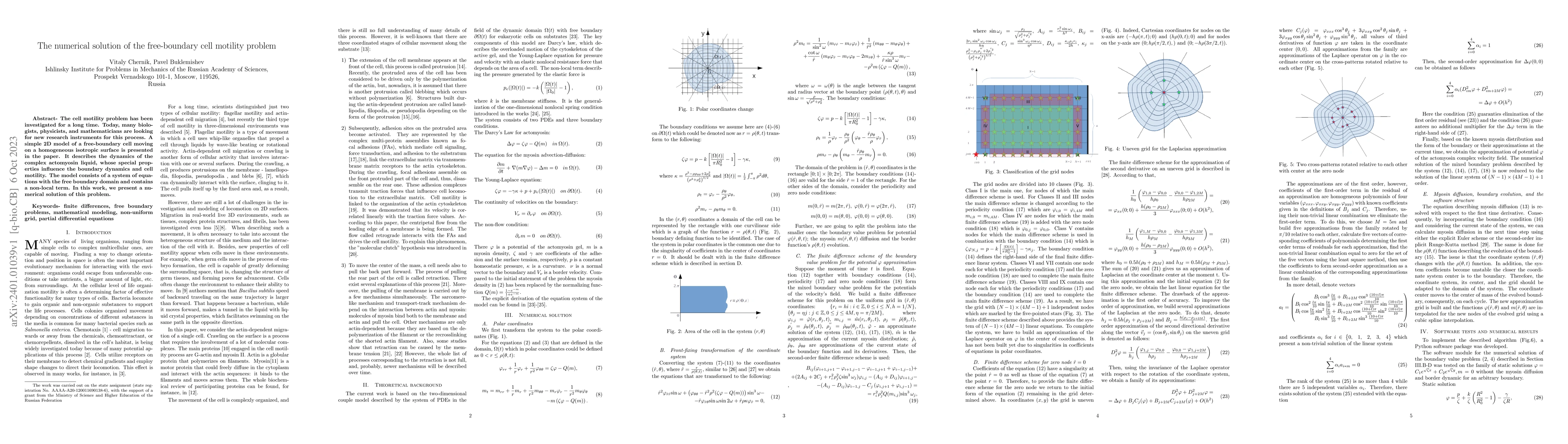 Thumbnail for The numerical solution of the free-boundary cell motility problem
