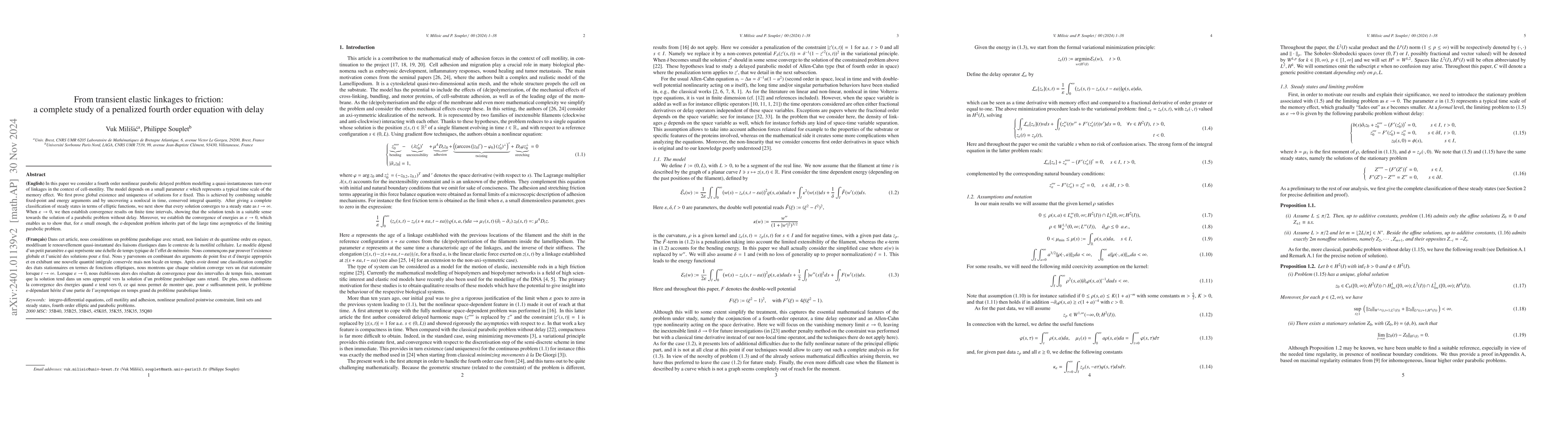 Thumbnail for From transient elastic linkages to friction: a complete study of a
  penalized fourth order equation with delay