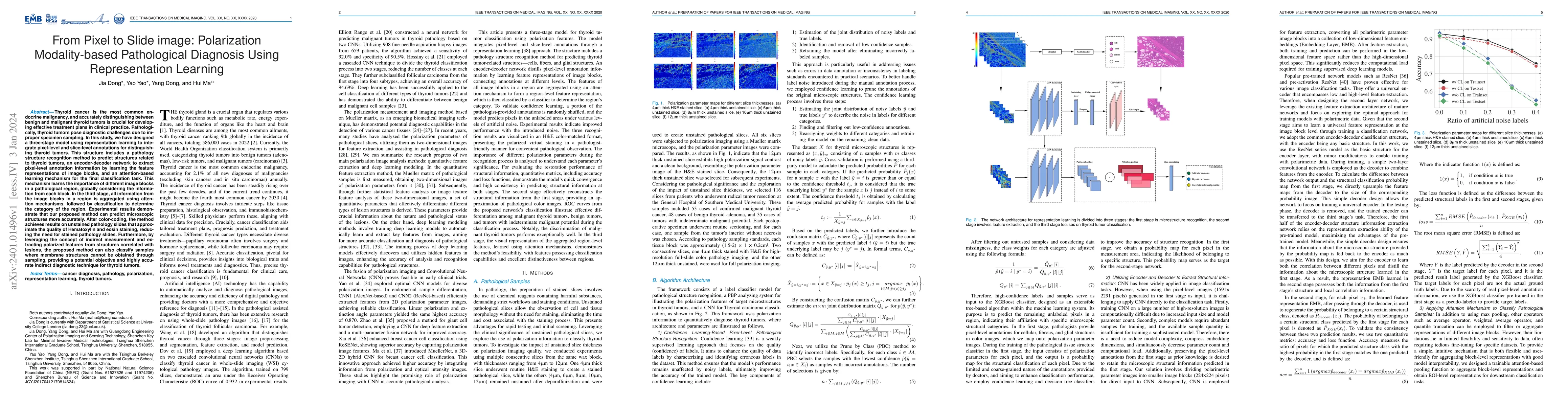 Thumbnail for From Pixel to Slide image: Polarization Modality-based Pathological
  Diagnosis Using Representation Learning
