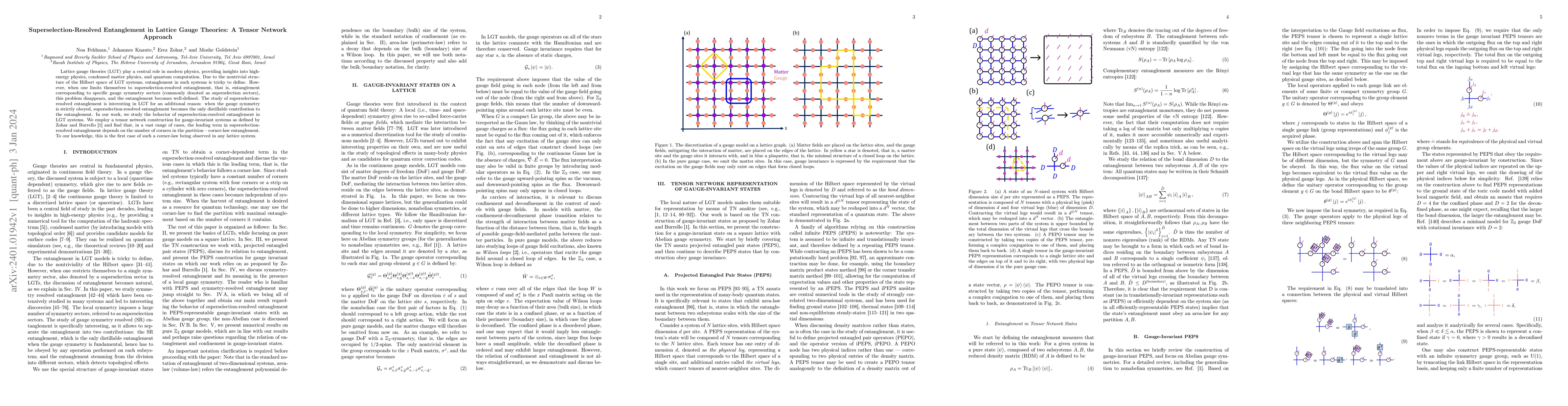 Thumbnail for Superselection-Resolved Entanglement in Lattice Gauge Theories: A Tensor
  Network Approach