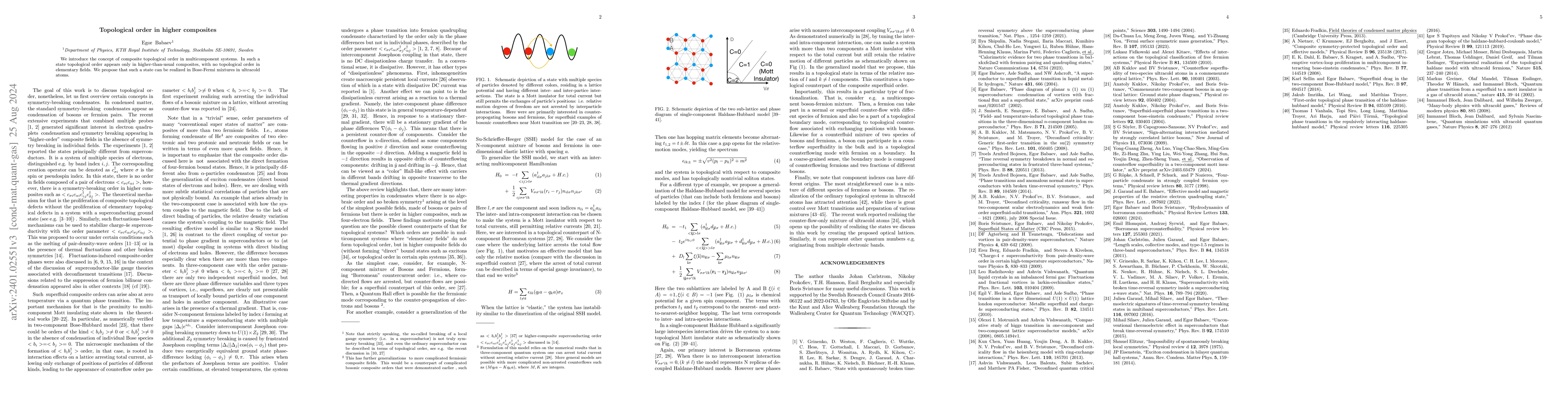Thumbnail for On topological order in higher composites