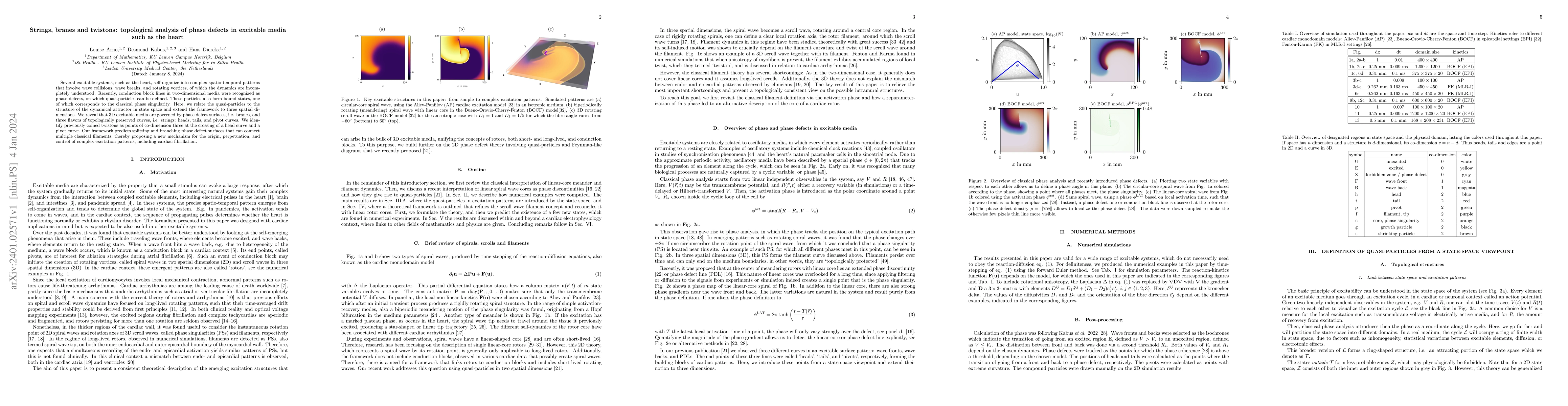 Thumbnail for Strings, branes and twistons: topological analysis of phase defects in
  excitable media such as the heart