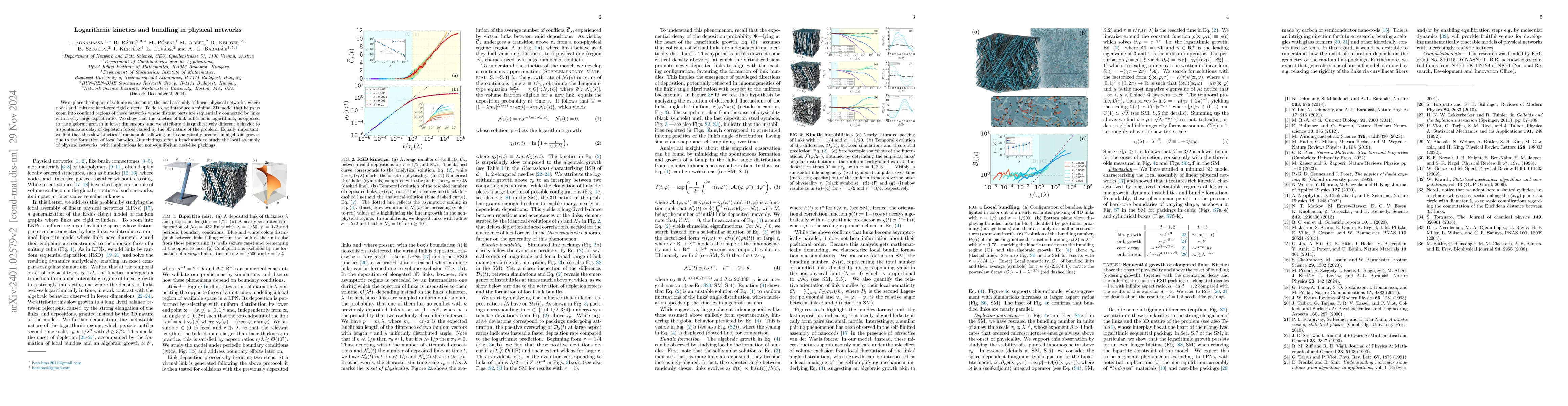 Thumbnail for Bundling by volume exclusion in non-equilibrium spaghetti