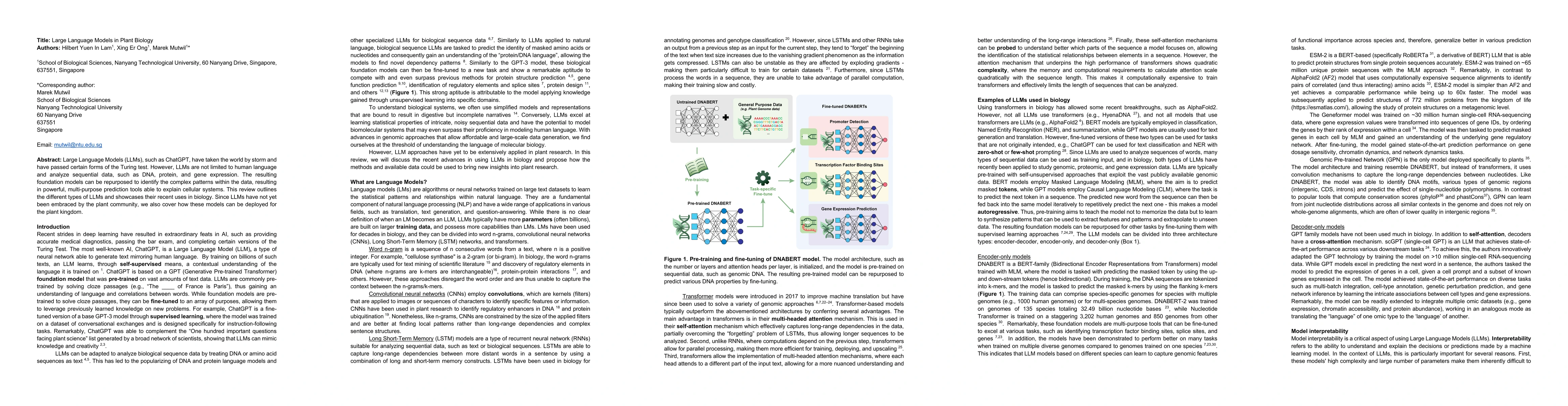 Thumbnail for Large Language Models in Plant Biology
