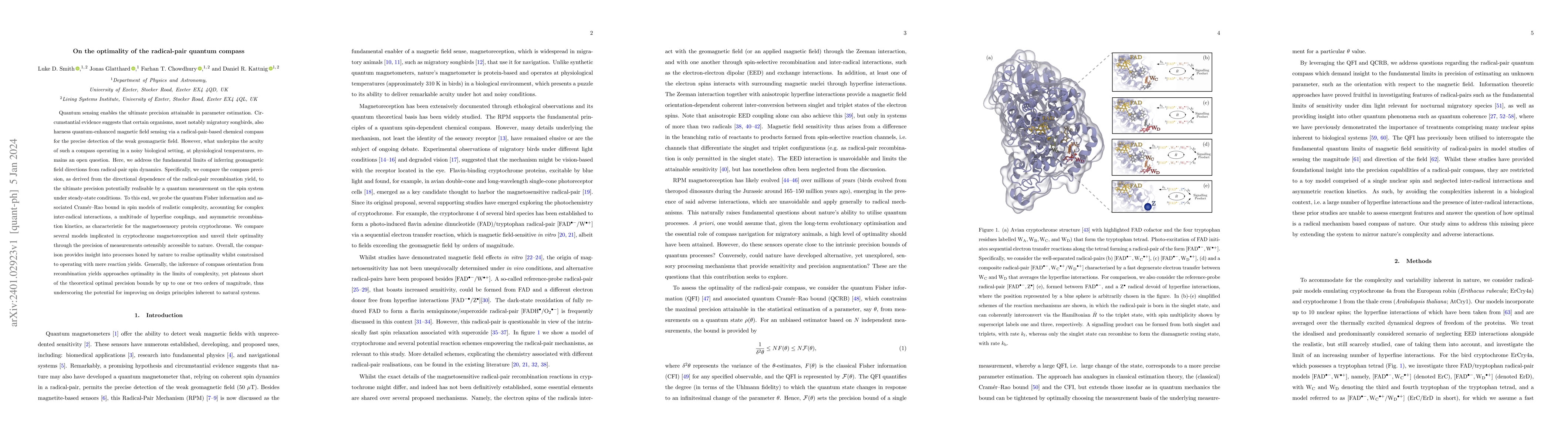 Thumbnail for On the optimality of the radical-pair quantum compass