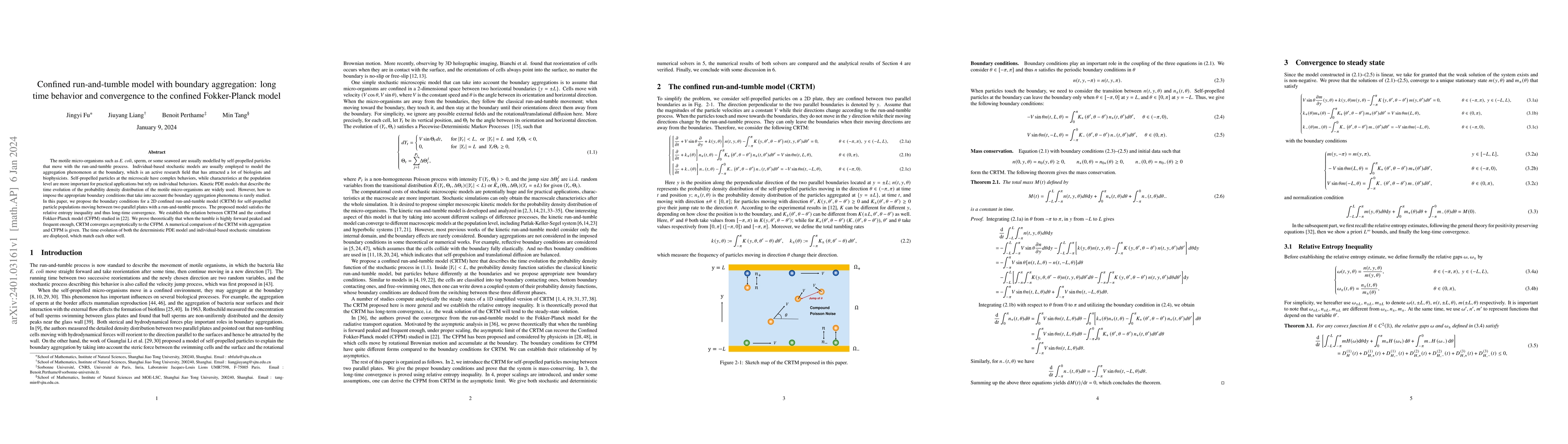 Thumbnail for Confined run-and-tumble model with boundary aggregation: long time
  behavior and convergence to the confined Fokker-Planck model