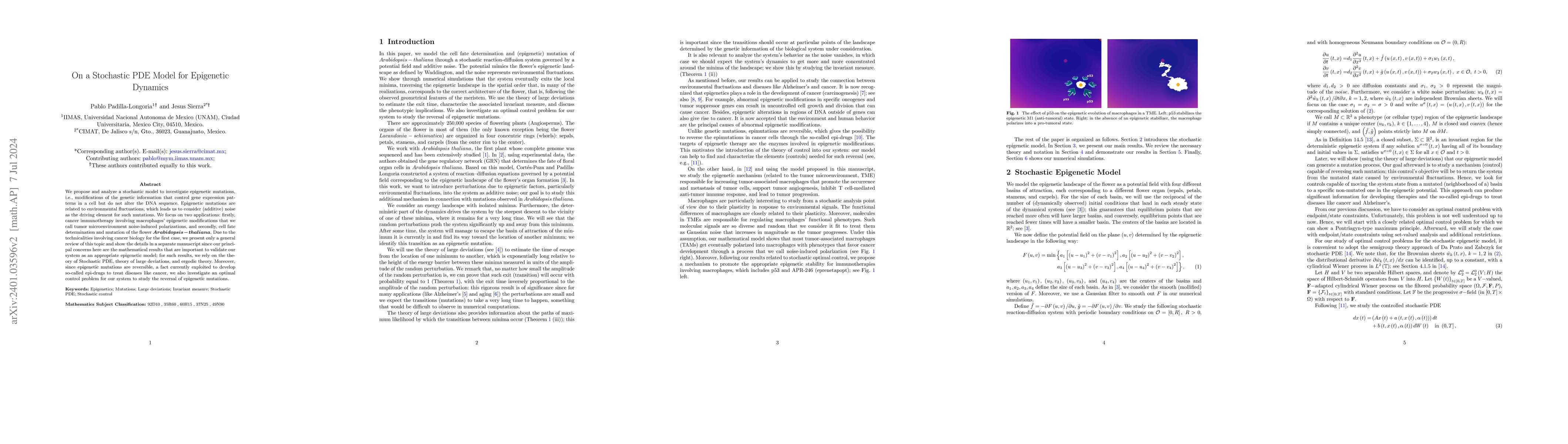 Thumbnail for On a Stochastic PDE Model for Epigenetic Dynamics