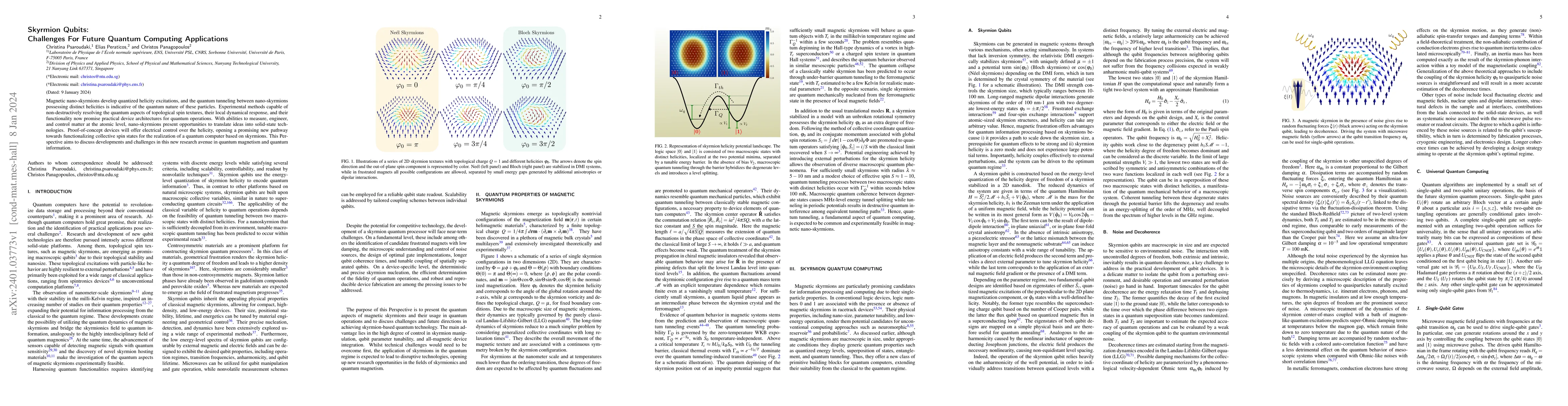 Thumbnail for Skyrmion Qubits: Challenges For Future Quantum Computing Applications