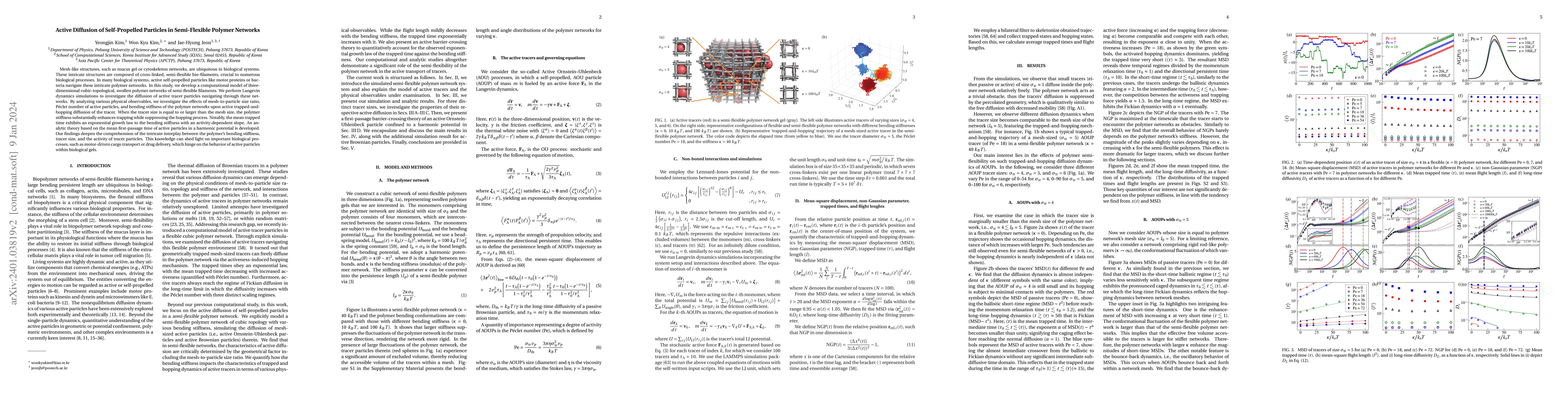 Thumbnail for Active Diffusion of Self-Propelled Particles in Semi-Flexible Polymer
  Networks
