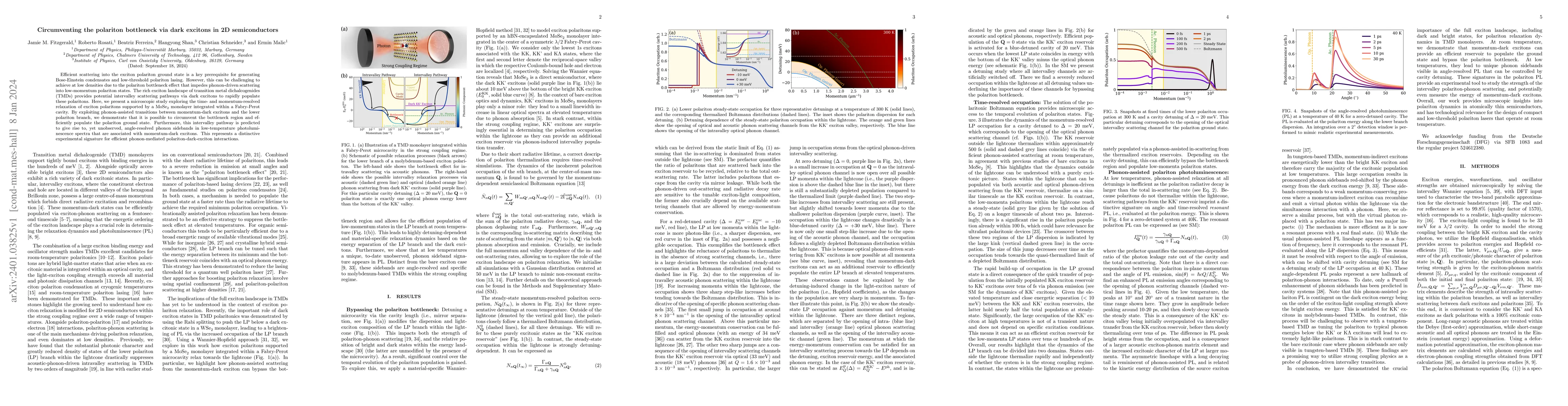 Thumbnail for Circumventing the polariton bottleneck via dark excitons in 2D
  semiconductors