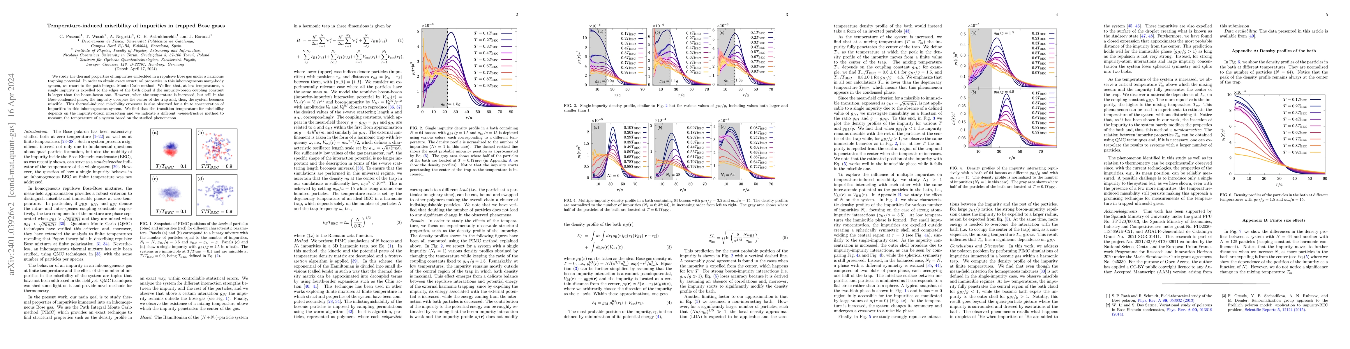 Thumbnail for Temperature-induced miscibility of impurities in trapped Bose gases