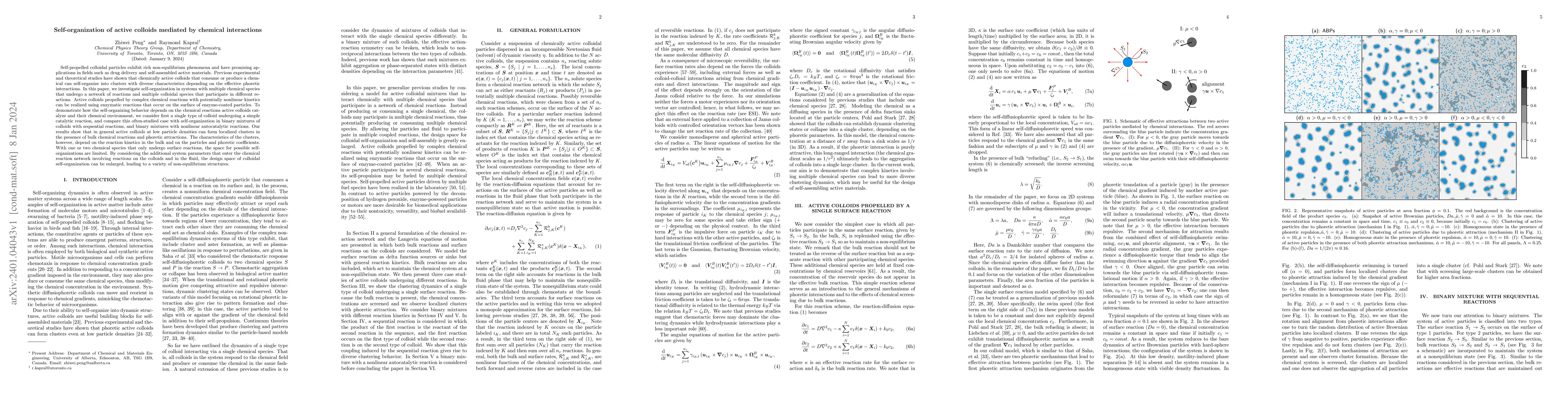 Thumbnail for Self-organization of active colloids mediated by chemical interactions