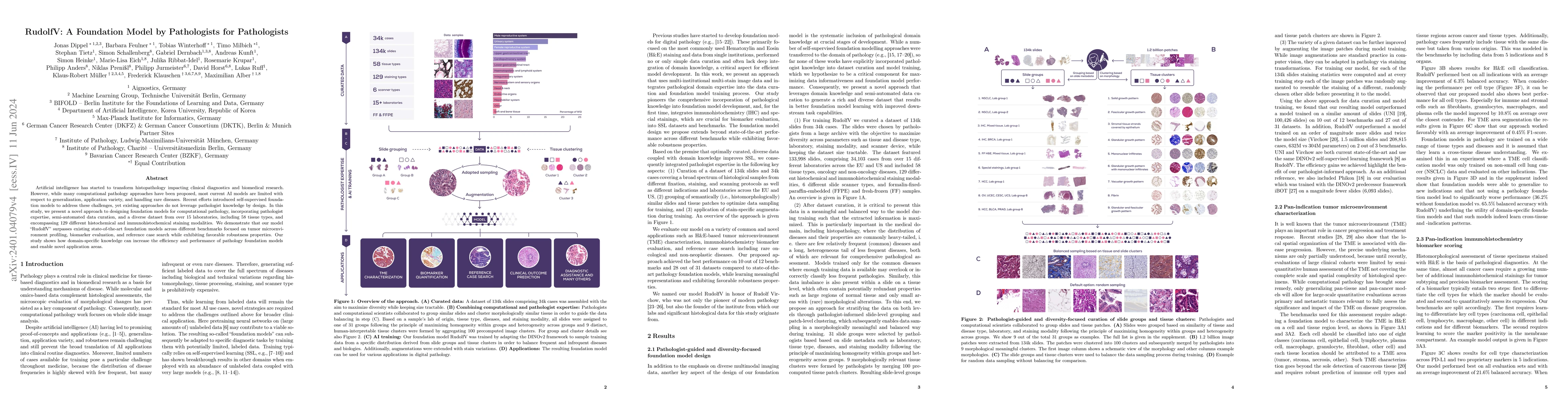 Thumbnail for RudolfV: A Foundation Model by Pathologists for Pathologists