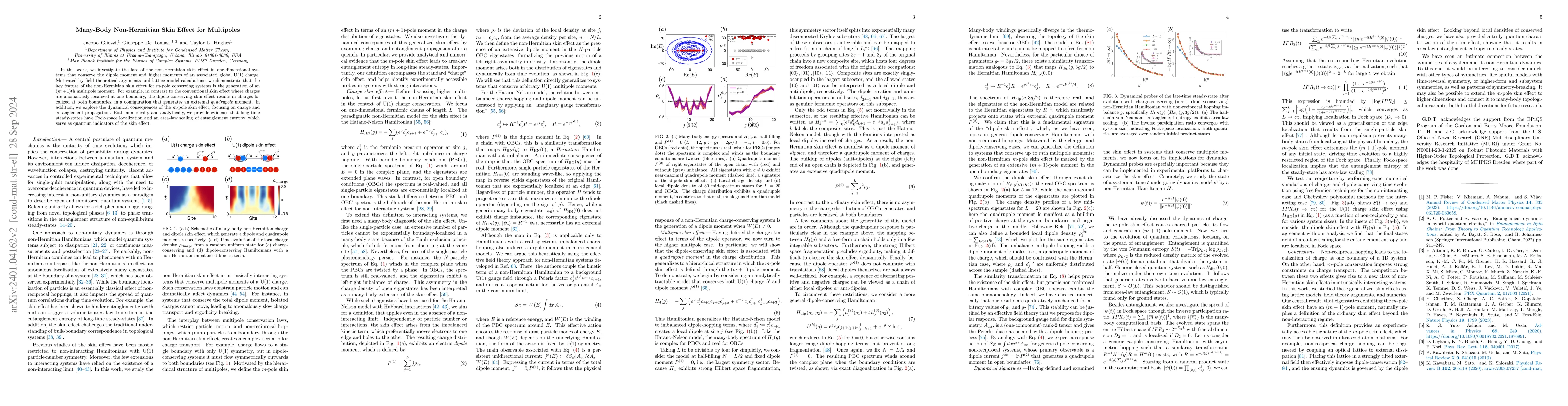 Thumbnail for Many-body Non-Hermitian Skin Effect for Multipoles