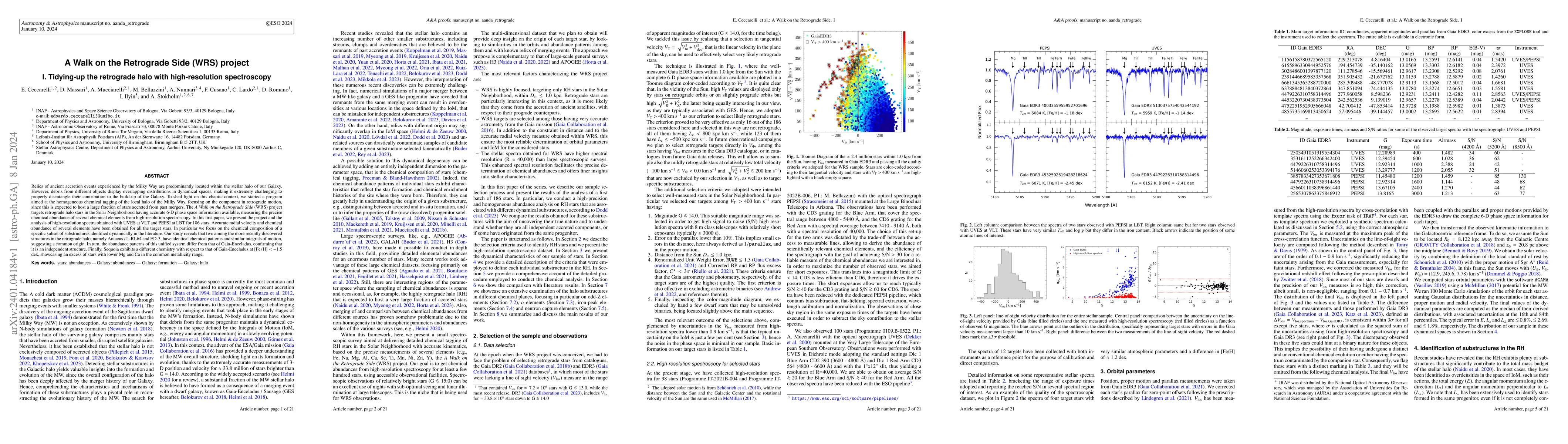 Thumbnail for A Walk on the Retrograde Side (WRS) project. I. Tidying-up the
  retrograde halo with high-resolution spectroscopy