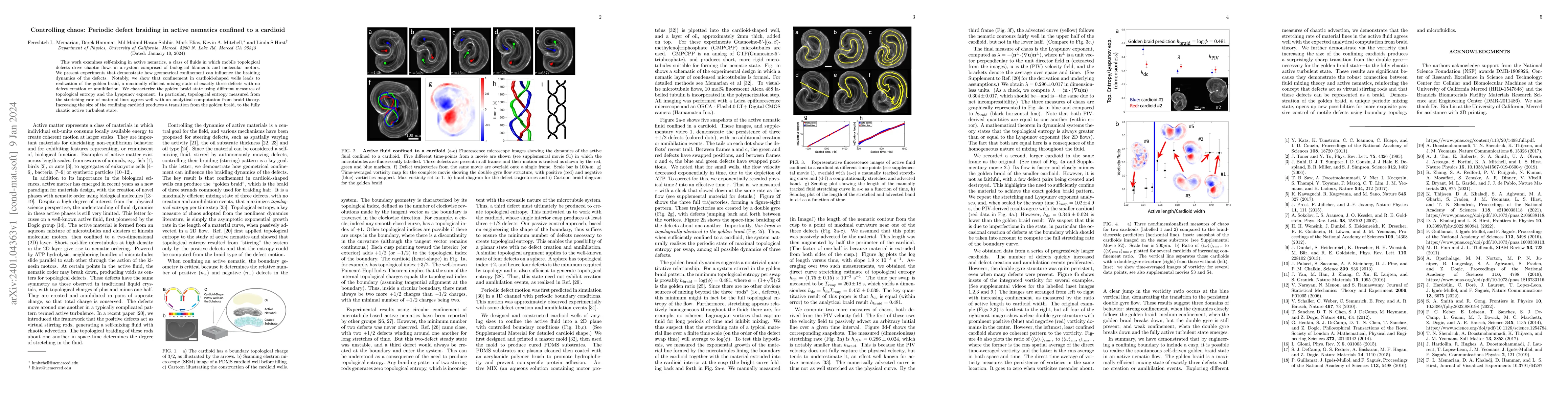 Thumbnail for Controlling chaos: Periodic defect braiding in active nematics confined
  to a cardioid