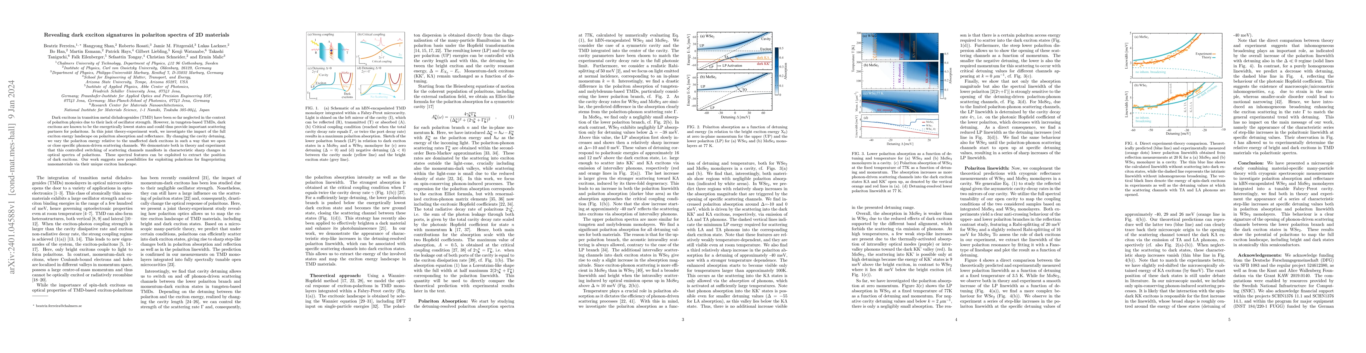 Thumbnail for Revealing dark exciton signatures in polariton spectra of 2D materials