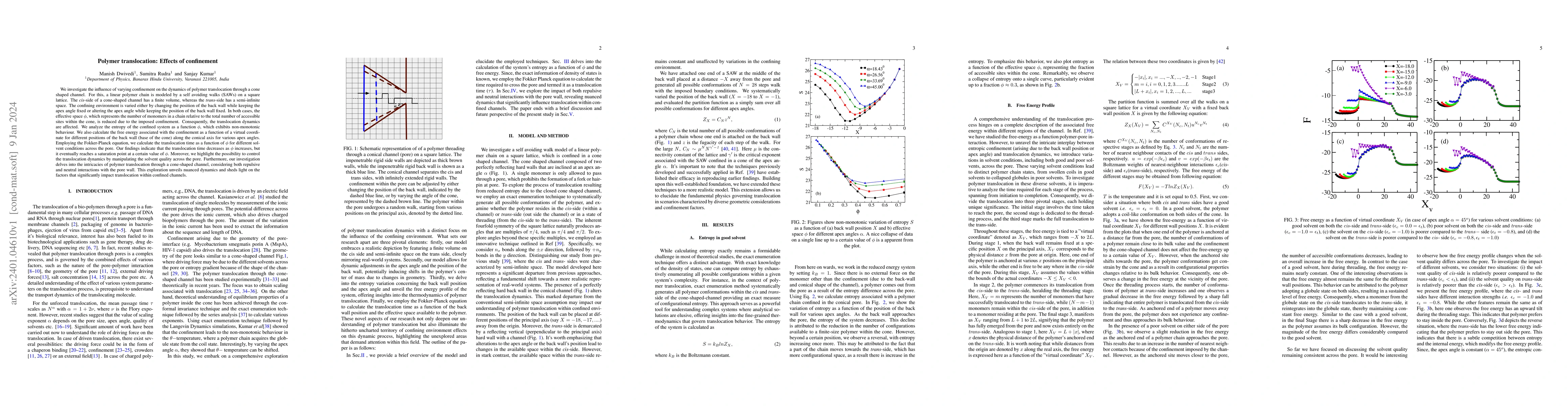 Thumbnail for Polymer translocation: Effects of confinement