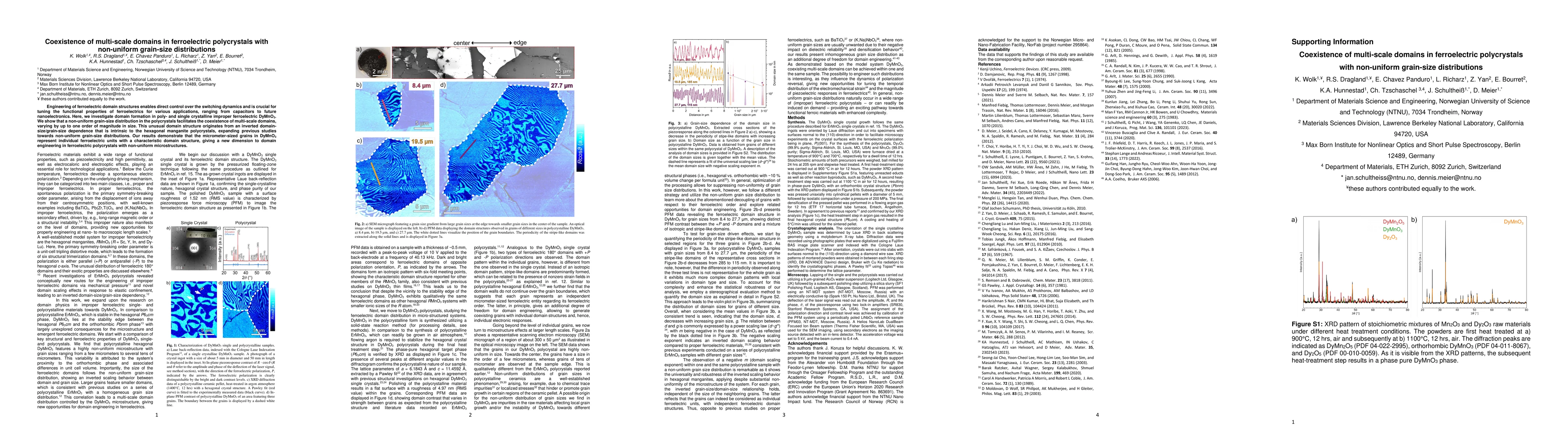 Thumbnail for Coexistence of multi-scale domains in ferroelectric polycrystals with
  non-uniform grain-size distributions