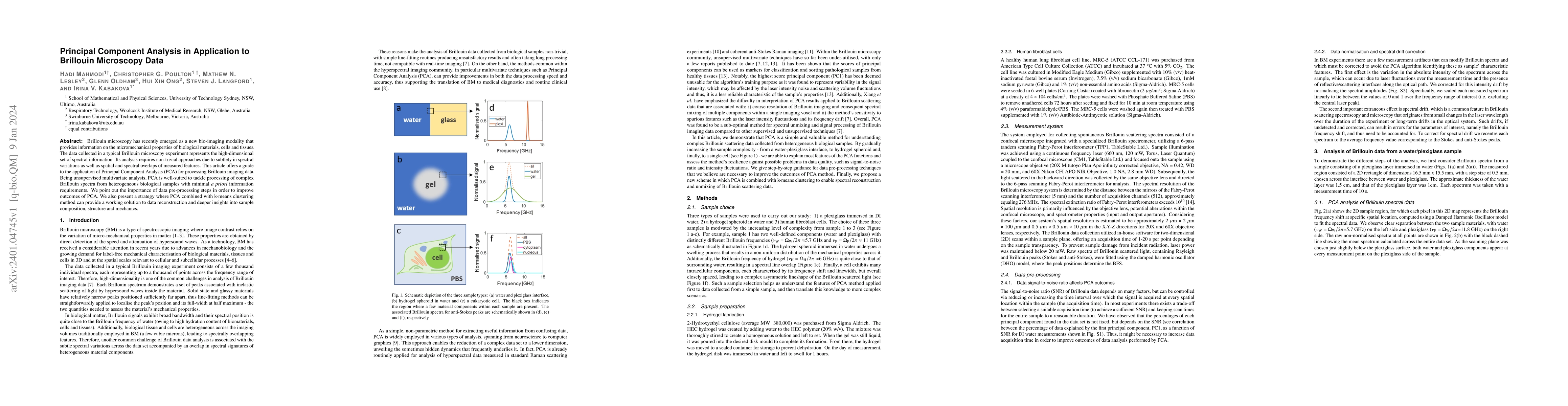 Thumbnail for Principal Component Analysis in Application to Brillouin Microscopy Data