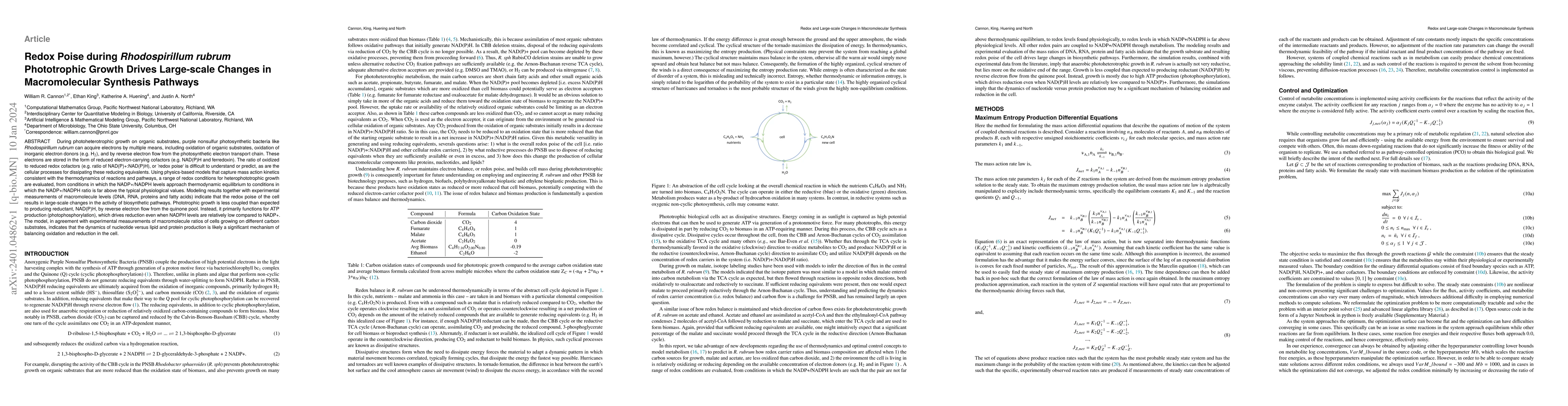 Thumbnail for Redox Poise during Rhodospirillum rubrum Phototrophic Growth Drives
  Large-scale Changes in Macromolecular Synthesis Pathways