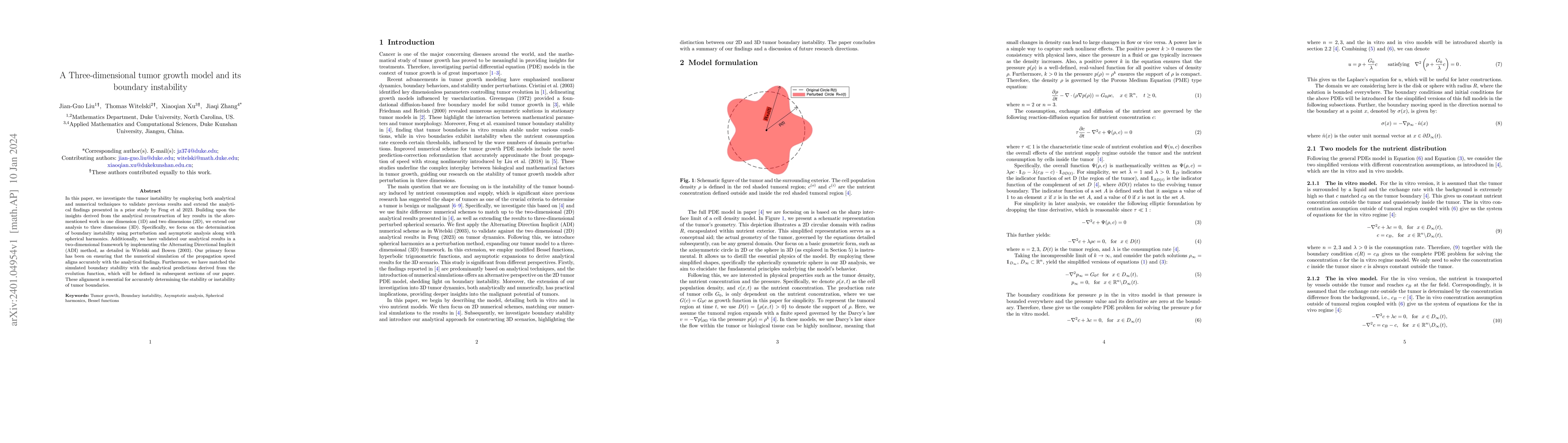 Thumbnail for A Three-dimensional tumor growth model and its boundary instability