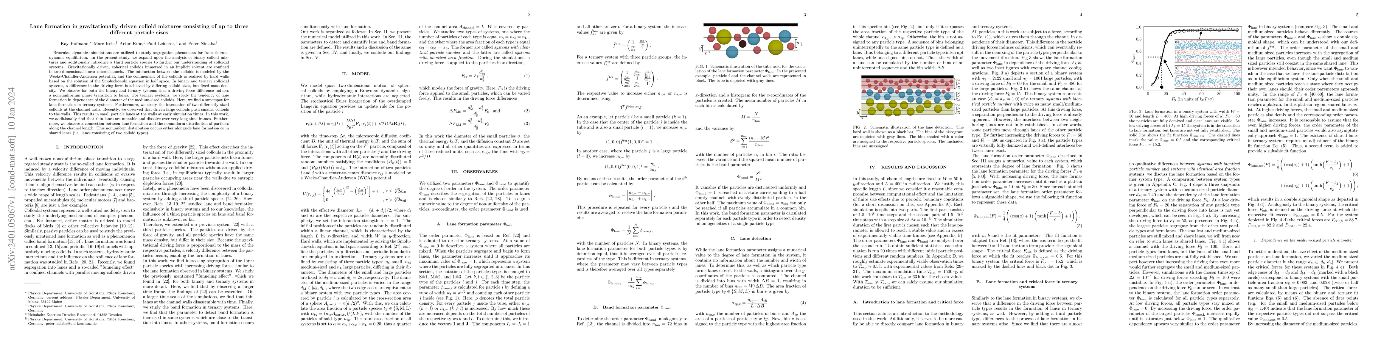 Thumbnail for Lane formation in gravitationally driven colloid mixtures consisting of
  up to three different particle sizes
