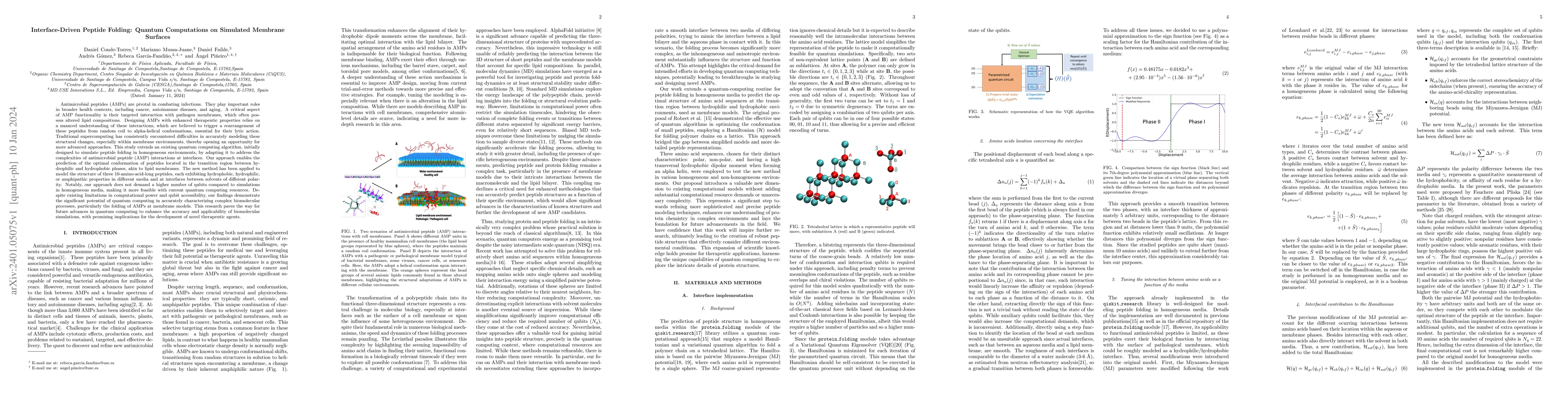 Thumbnail for Interface-Driven Peptide Folding: Quantum Computations on Simulated
  Membrane Surfaces