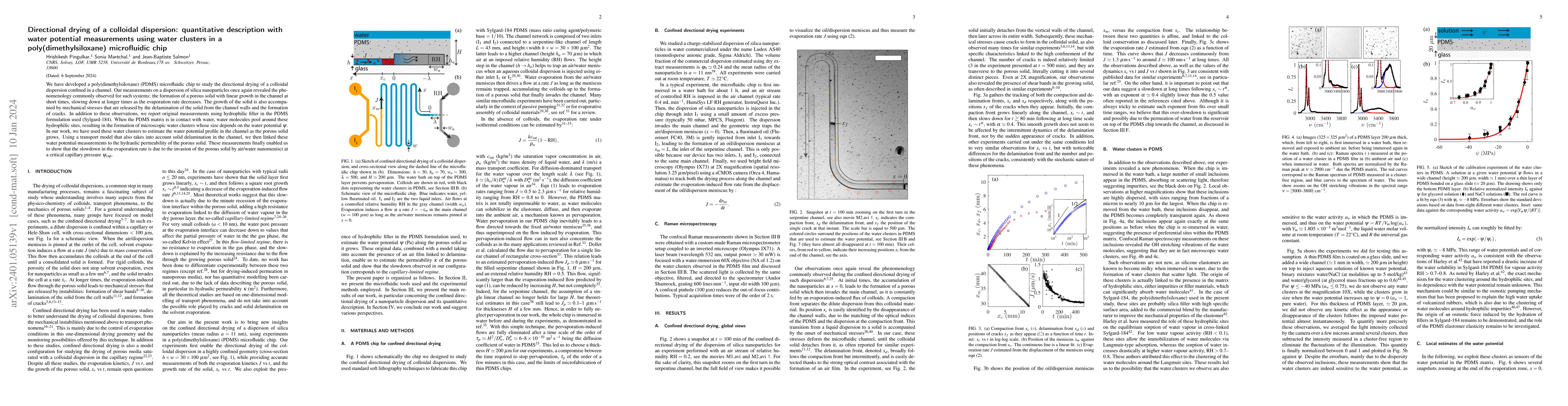 Thumbnail for Directional drying of a colloidal dispersion: quantitative description
  with water potential measurements using water clusters in a
  poly(dimethylsiloxane) microfluidic chip