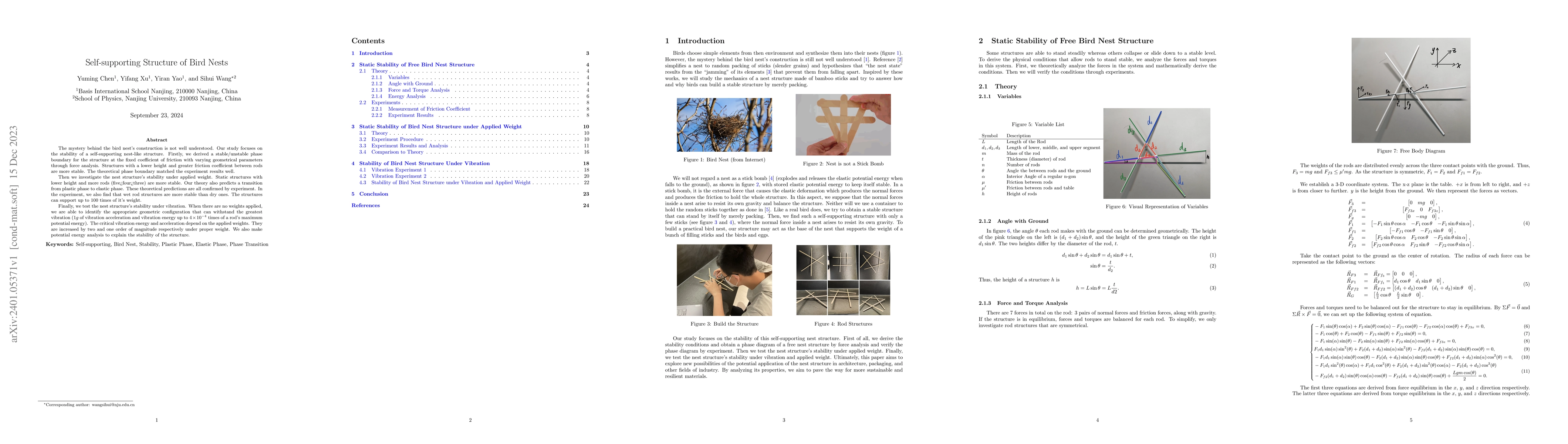 Thumbnail for Self-supporting Structure of Bird Nests