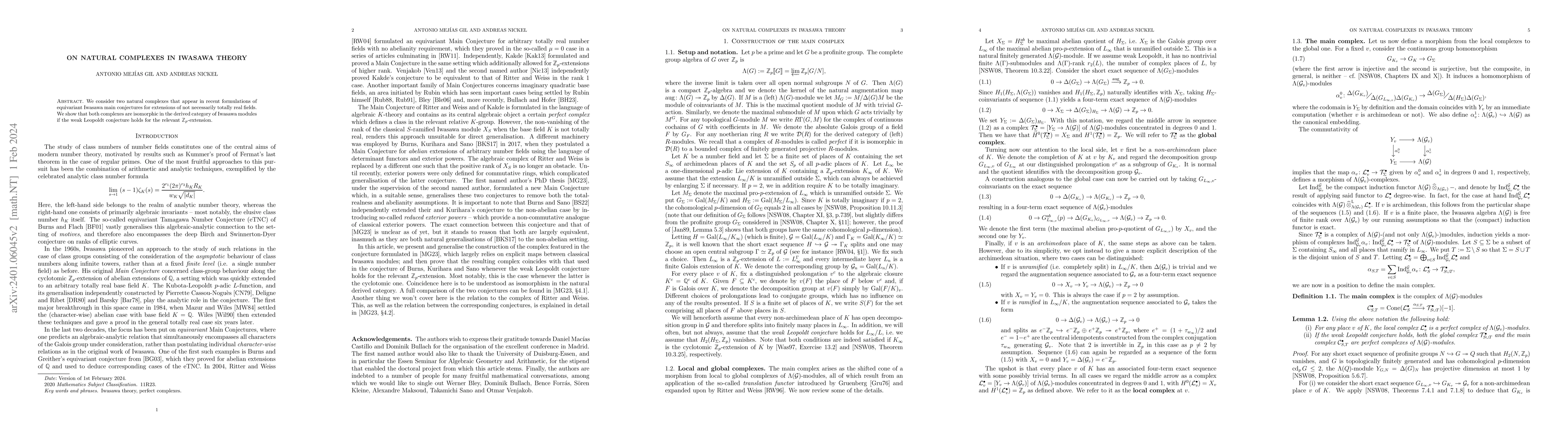 Thumbnail for On natural complexes in Iwasawa theory