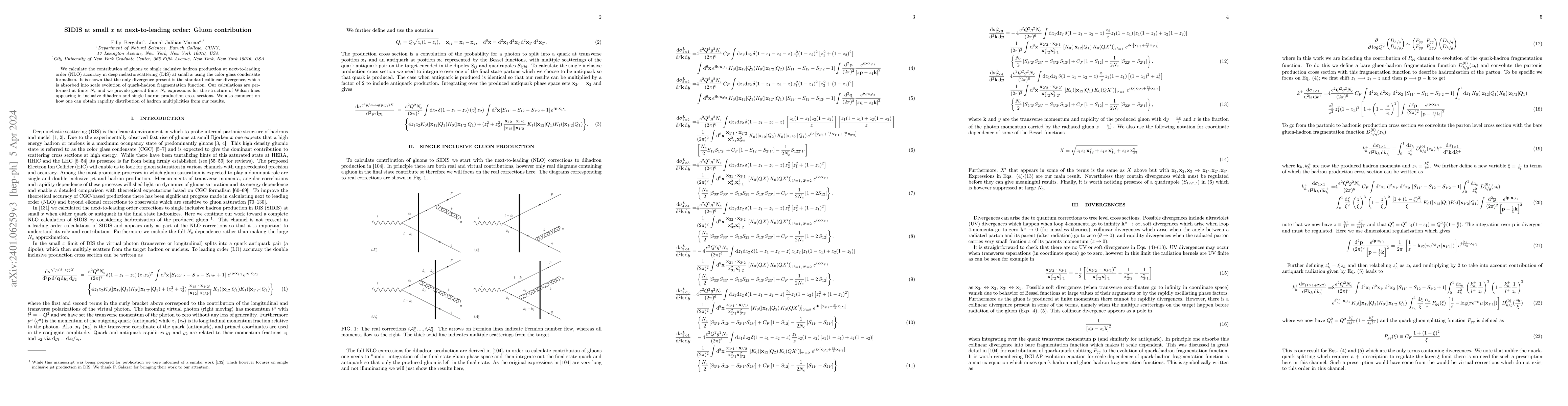 Thumbnail for SIDIS at small $x$ at next-to-leading order: gluon contribution