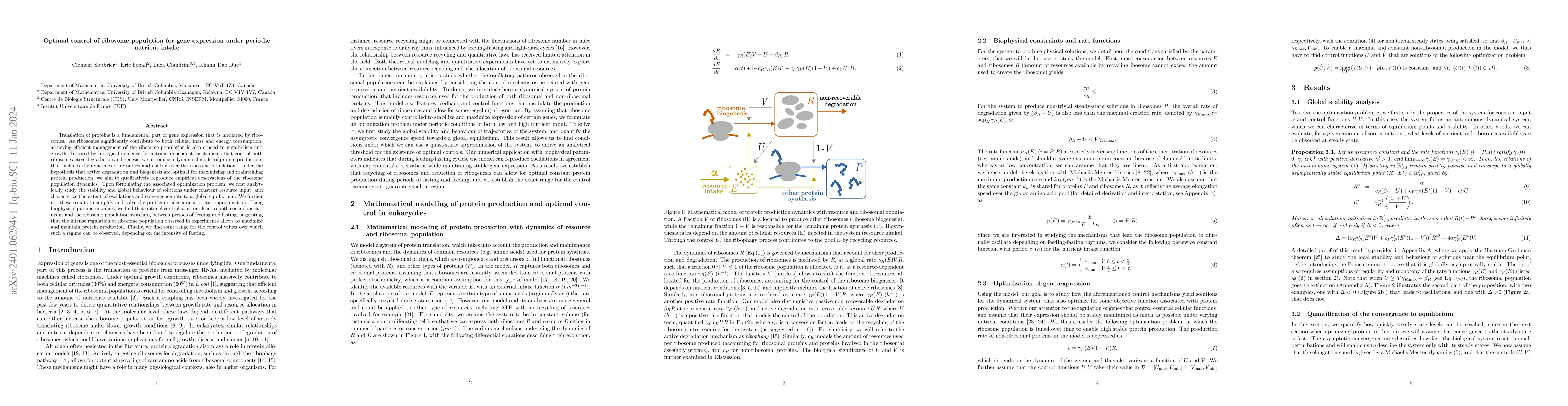 Thumbnail for Optimal control of ribosome population for gene expression under
  periodic nutrient intake