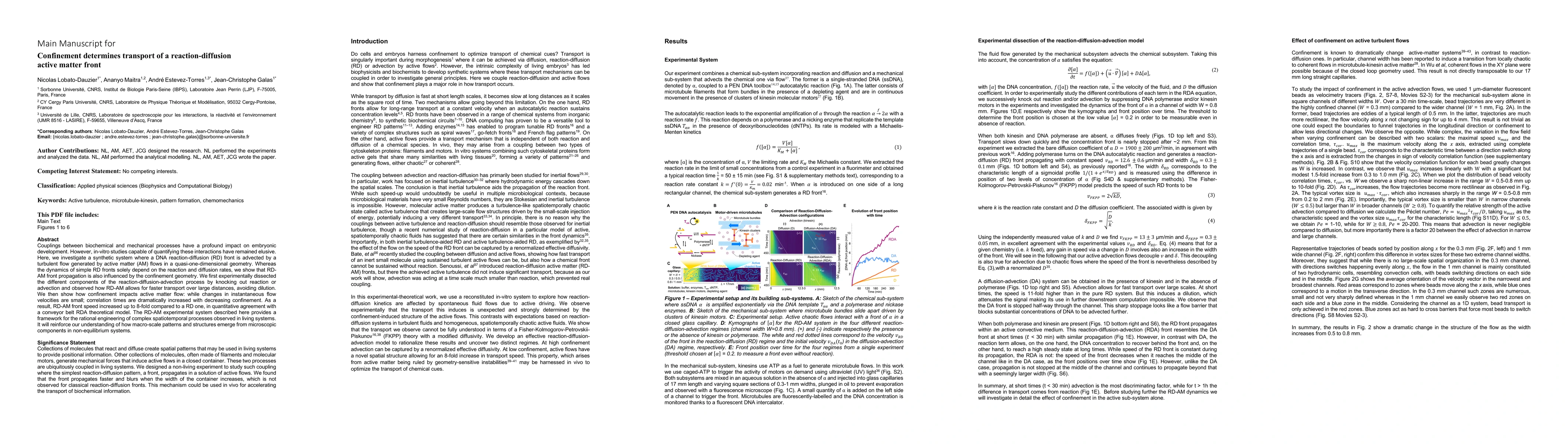 Thumbnail for Confinement determines transport of a reaction-diffusion active matter
  front